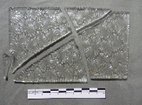 Gebrochene Jugendstil Glasscheibe mit reliefierter Oberfl�che
